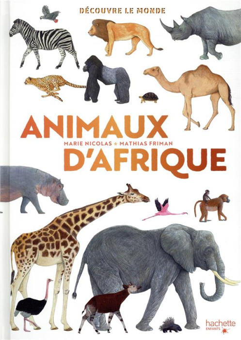 Emprunter Animaux d'Afrique livre