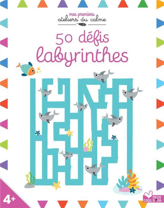 Emprunter 50 défis labyrinthes livre