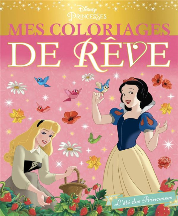 Emprunter L'été des Princesses livre