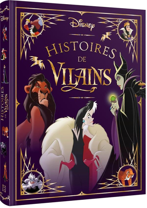 Emprunter Histoires de Vilains livre