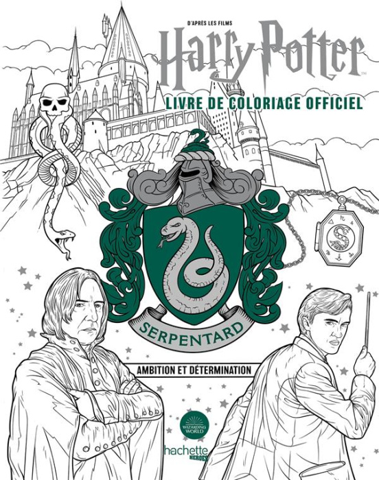 Emprunter Harry Potter Serpentard. Ambition et détermination livre