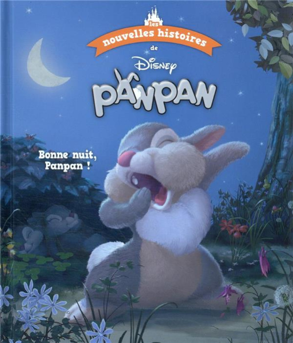 Emprunter Les nouvelles histoires de Disney Tome 10 : Bonne nuit, Panpan ! livre