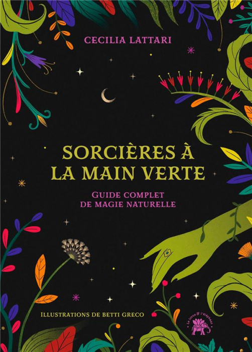 Emprunter Sorcières à la main verte livre