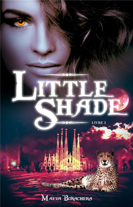 Emprunter Little Shade Tome 3 : Retomber sur ses pattes livre