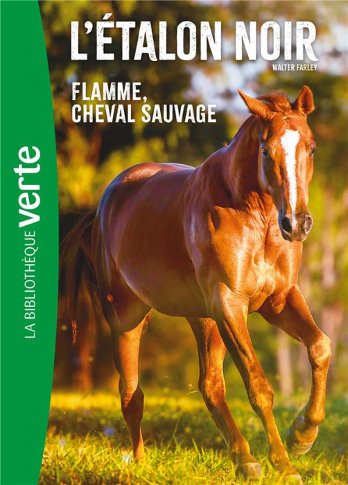 Emprunter L'Etalon Noir Tome 10 : Flamme, cheval sauvage livre