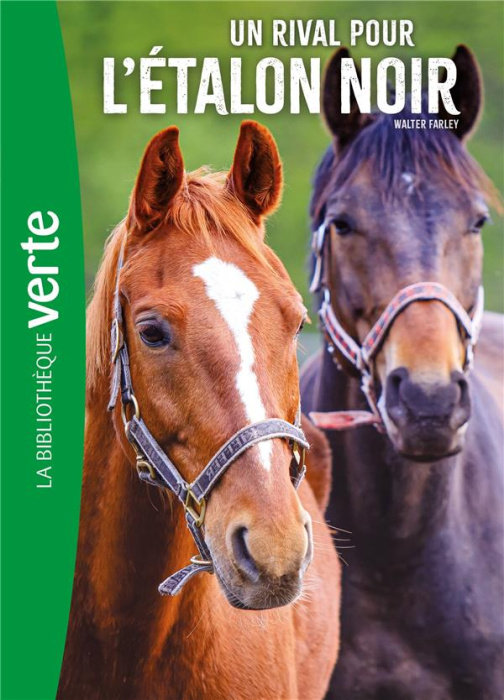 Emprunter L'Etalon Noir Tome 14 : Un rival pour l'étalon noir livre
