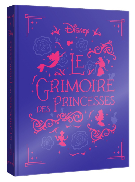 Emprunter Disney Le Grimoire des Princesses livre