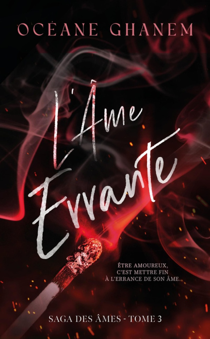 Emprunter La saga des Ames/03/L'âme errante livre