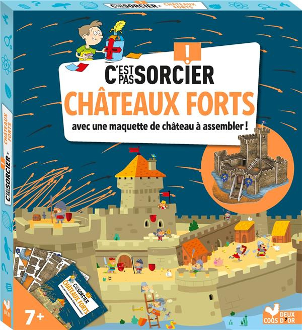 Emprunter Châteaux forts. Avec une maquette de château à assembler ! livre