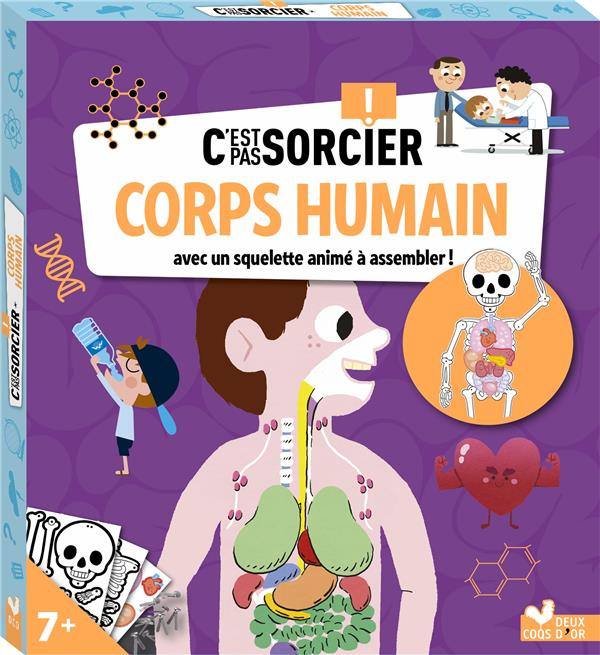 Emprunter C'est pas sorcier Corps humain. Avec un squelette animé à assembler ! livre