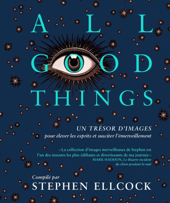 Emprunter All good things livre