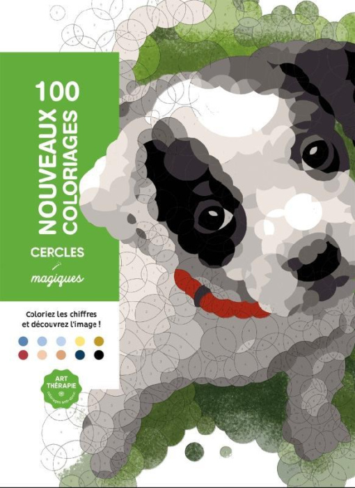 Emprunter 100 nouveaux cercles magiques livre