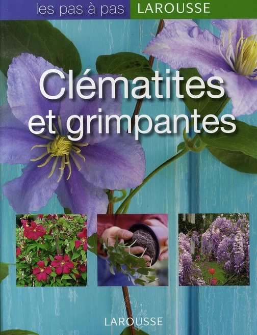 Emprunter Clématites et grimpantes livre