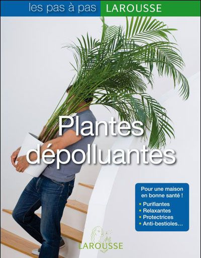 Emprunter Plantes dépolluantes livre