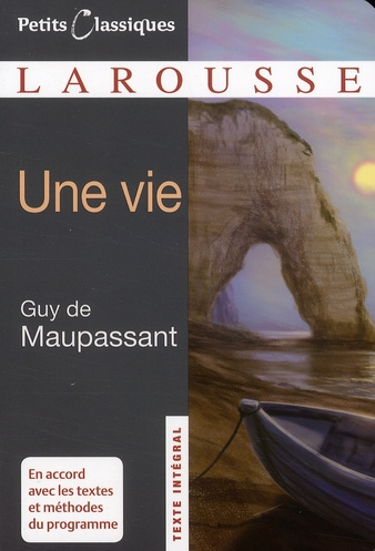 Emprunter Une vie livre
