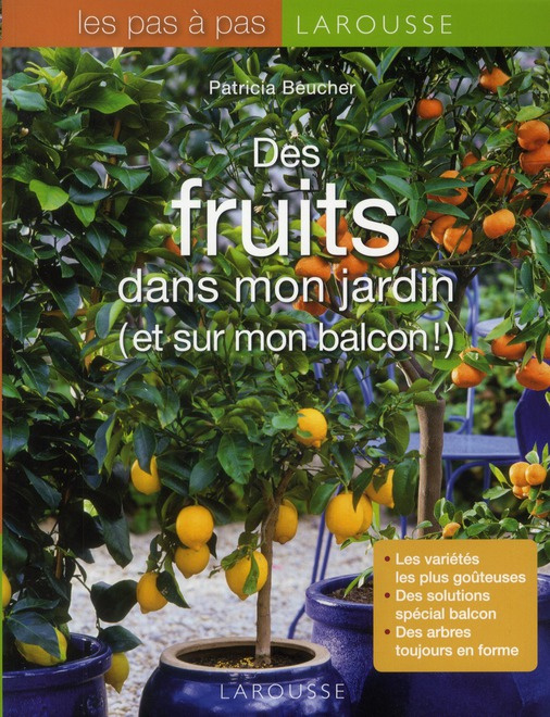 Emprunter Des fruits dans mon jardin (et sur mon balcon !) livre