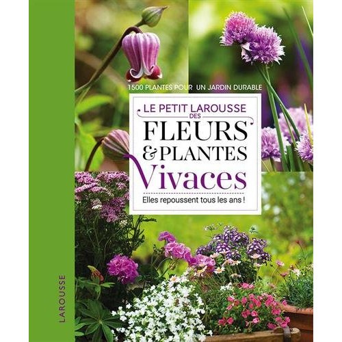 Emprunter Petit Larousse des fleurs et plantes vivaces livre