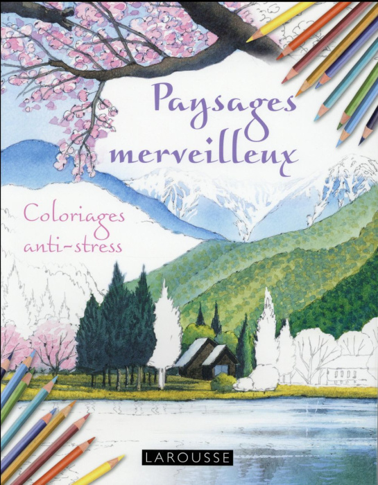 Emprunter Paysages merveilleux. Coloriages anti-stress livre
