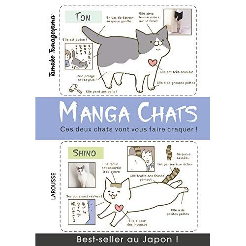 Emprunter Manga chats. Ces deux chats vont vous faire craquer livre