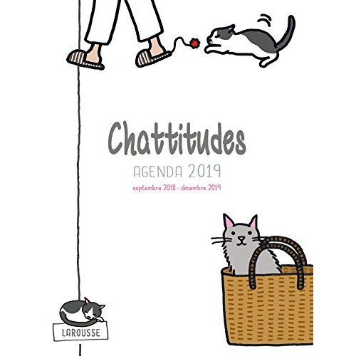 Emprunter Agenda Chattitudes. Edition 2019 livre