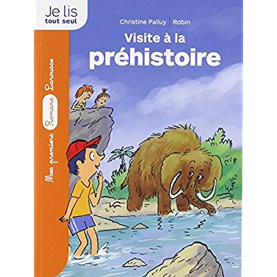 Emprunter La pierre du temps. Visite à la préhistoire livre