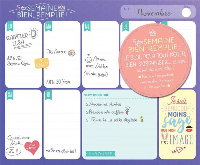 Emprunter Une semaine bien remplie ! livre