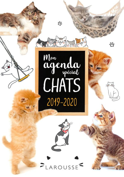 Emprunter Mon agenda spécial chats. Edition 2019-2020 livre