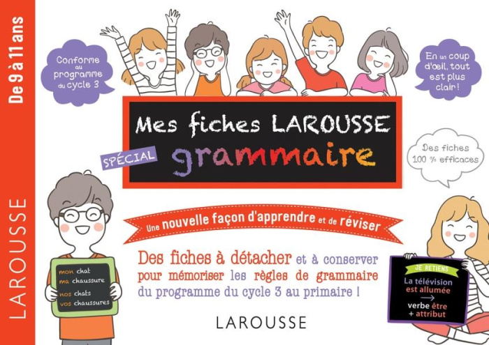 Emprunter Spécial grammaire livre