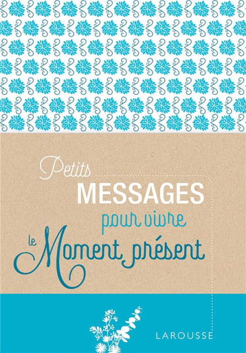 Emprunter Petits messages pour vivre le moment présent livre