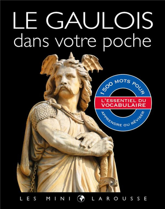 Emprunter Dictionnaire de Gaulois illustré livre