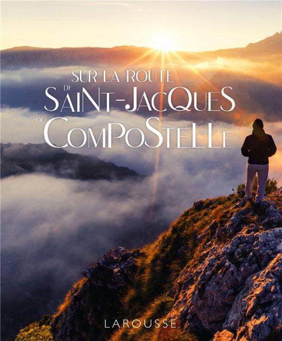 Emprunter Sur la route de Saint-Jacques-de-Compostelle livre
