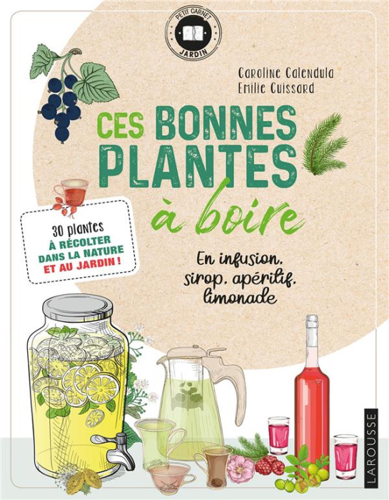 Emprunter Ces bonnes plantes à boire. En infusion, sirop, apéritif, limonade livre