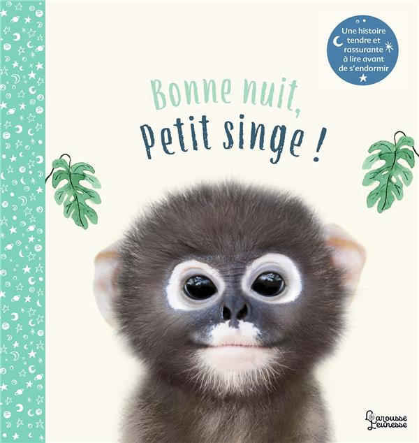 Emprunter Bonne nuit, petit singe ! livre