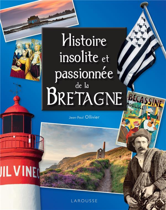 Emprunter Histoire insolite et passionnée de la Bretagne livre