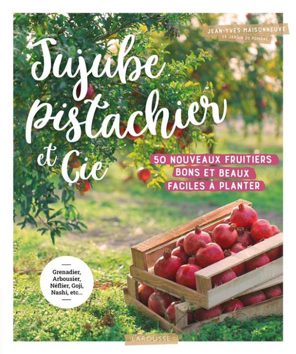 Emprunter Jujube pistachier et Cie. 50 nouveaux fruitiers bons et beaux, faciles à planter livre