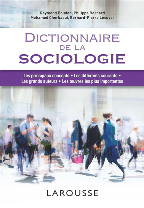Emprunter Dictionnaire de la sociologie livre