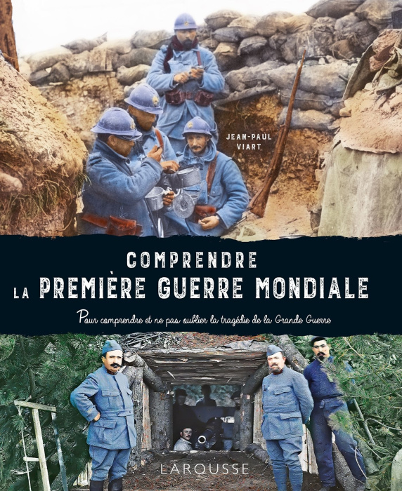 Emprunter Comprendre la Première Guerre mondiale livre