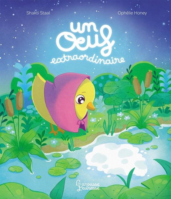 Emprunter Un oeuf extraordinaire livre