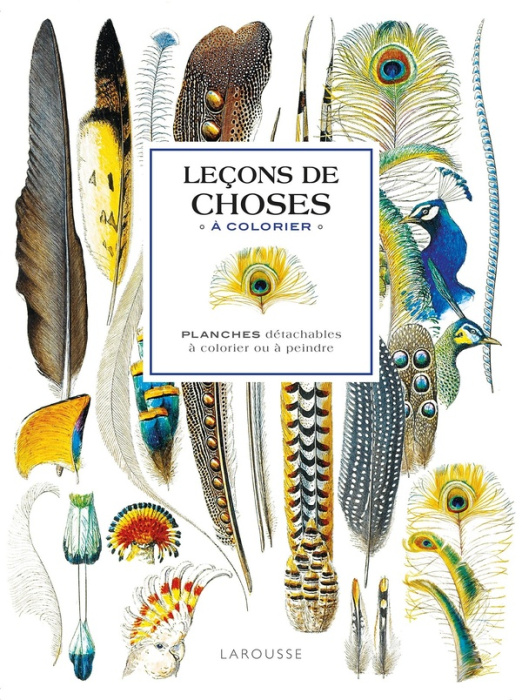 Emprunter Leçons de choses à colorier. Planches détachables à colorier ou à peindre livre