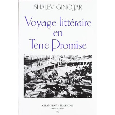 Emprunter VOYAGE LITTERAIRE EN TERRE PROMISE. livre