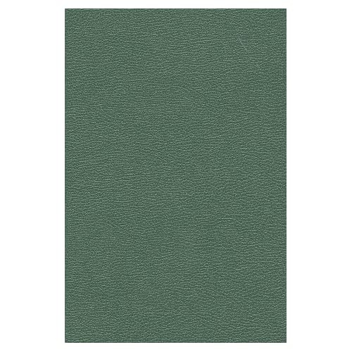 Emprunter CHARLEMAGNE ET ARTHUR, OU LE ROI IMAGINAIRE. livre