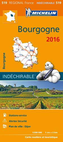 Emprunter 519 Bourgogne 2016 1-200000/Indéchirable / /Indéchirable livre