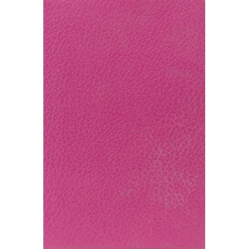 Emprunter Blanche ou l'oubli livre