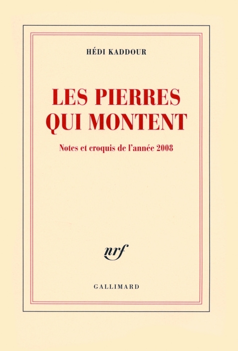 Emprunter Les pierres qui montent. Notes et croquis de l'année 2008 livre