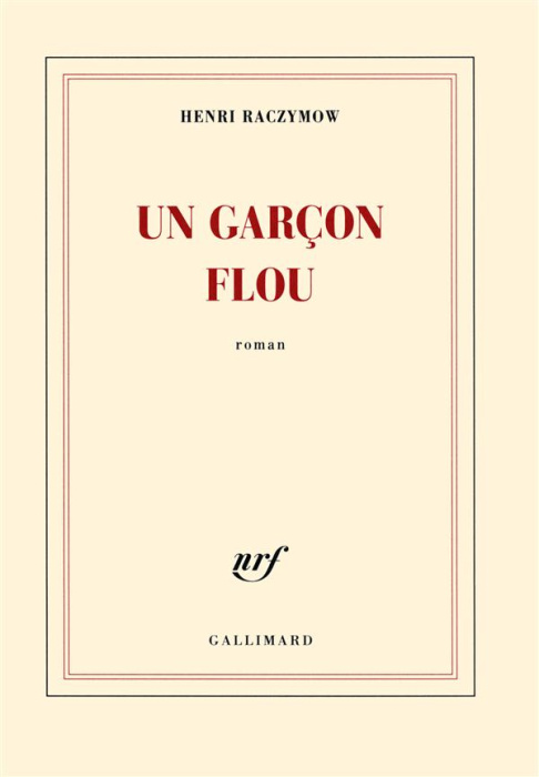 Emprunter Un garçon flou livre