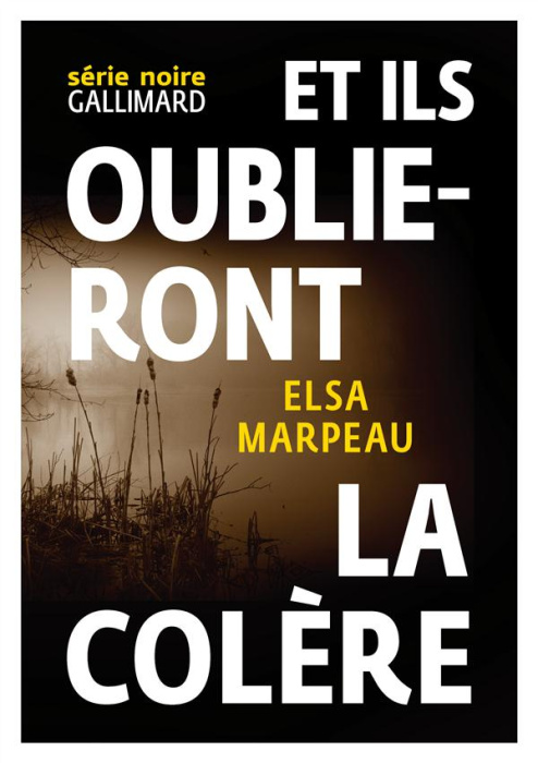 Emprunter Et ils oublieront la colère livre
