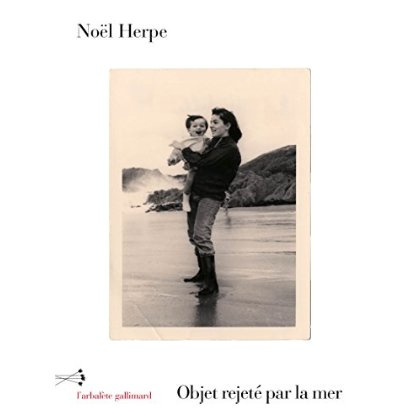 Emprunter Objet rejeté par la mer. Journal 2014-2015 livre