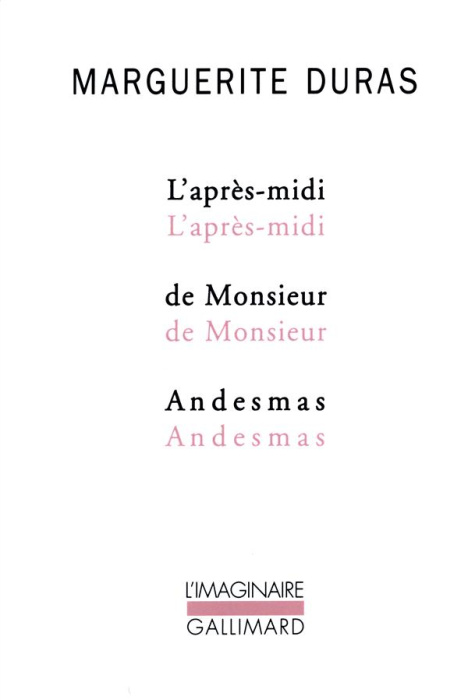 Emprunter L'après-midi de Monsieur Andesmas livre