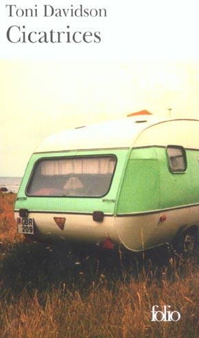 Emprunter Cicatrices livre