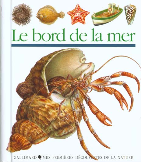 Emprunter Le bord de la mer livre